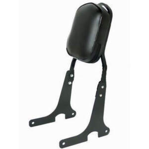 Schienalino sissybar sissy bar SPORTSTER h-d HARLEY DAVIDSON iron forty eight